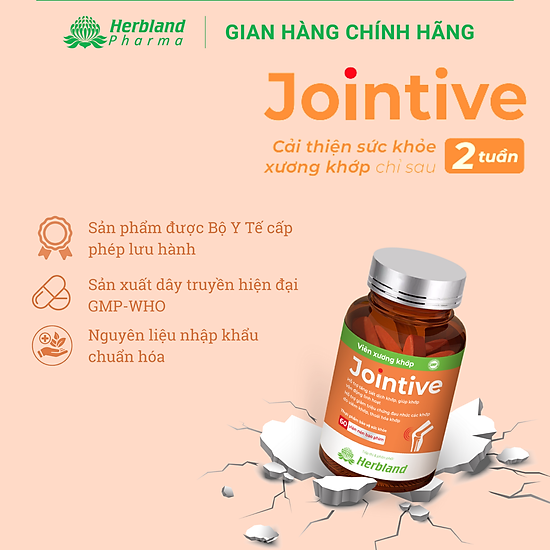 Viên xương khớp jointive cải thiện và bảo vệ sức khỏe xương khớp 60 viên - ảnh sản phẩm 3