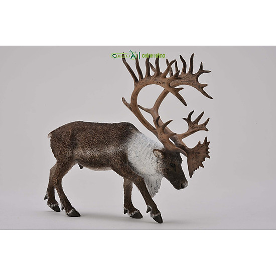 Mô hình thu nhỏ tuần lộc - woodland caribou , hiệu collecta, mã hs 9651430 - ảnh sản phẩm 2