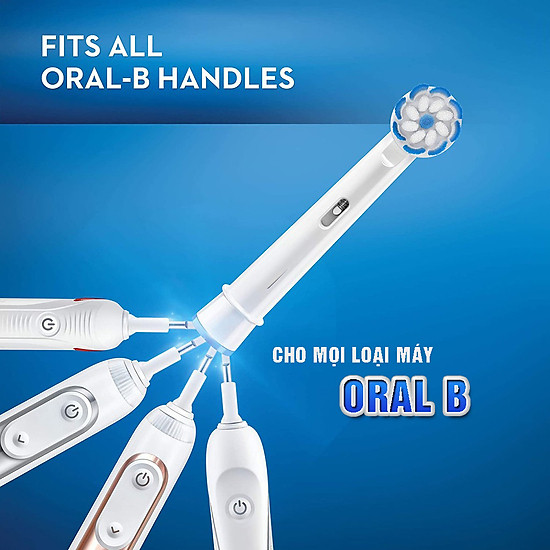 Cho máy oral b braun, set bộ 4 đầu bàn chải đánh răng điện thay thế dan - ảnh sản phẩm 7