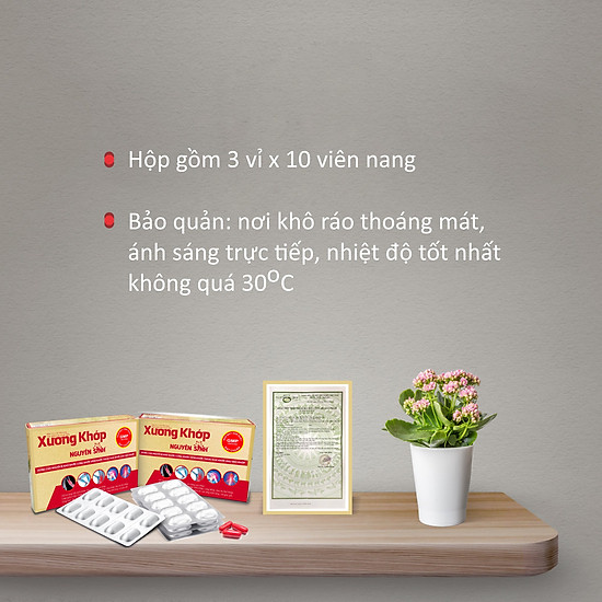 Combo 10 hộp xương khớp nguyên sinh thực phẩm chức năng bổ xương khớp - ảnh sản phẩm 7