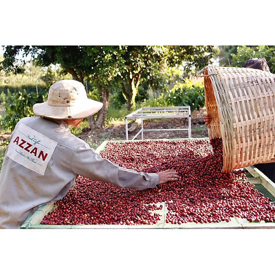 Azzan blend arabica & robusta 250g- cà phê đặc sản - ảnh sản phẩm 7