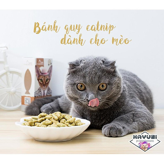 Bánh quy thưởng catnip dành cho mèo - ảnh sản phẩm 2