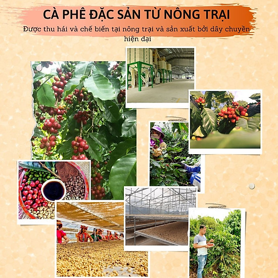 Cà phê túi lọc cao cấp classic konnai coffee 10 túi x 10gr - ảnh sản phẩm 3