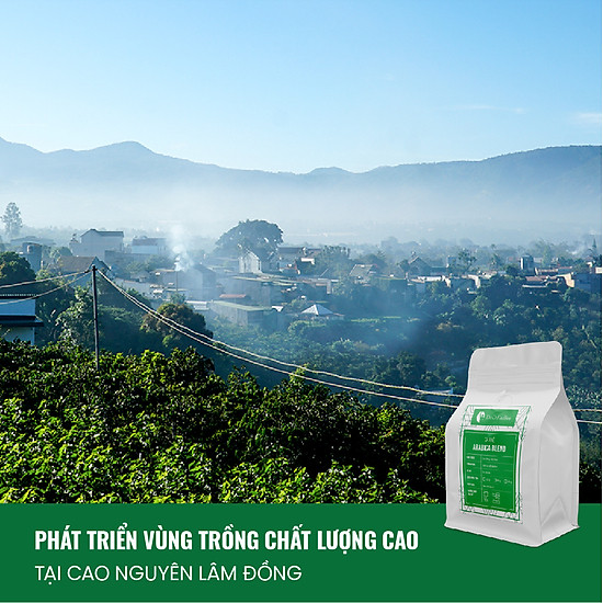 Cà phê arabica blend, cà phê nguyên chất 100% rang mộc, gói 250gr - ảnh sản phẩm 7