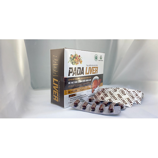 Thực phẩm chức năng - panda việt nam - pada liver - hỗ trợ giúp thanh nhiệt - ảnh sản phẩm 3