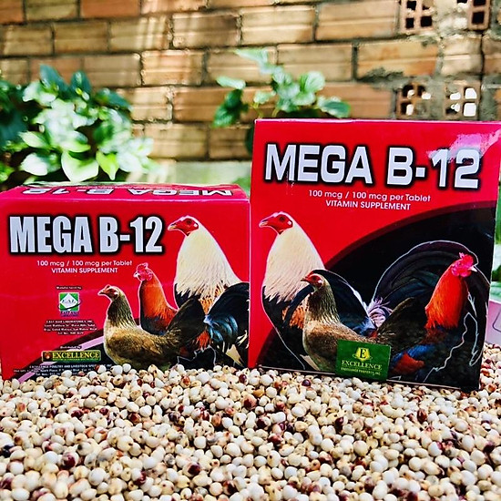 Mega b12 thuốc nuôi cho gà đá, thuốc tăng thể lực cho gà 1 hộp 10 vỉ 100 - ảnh sản phẩm 4