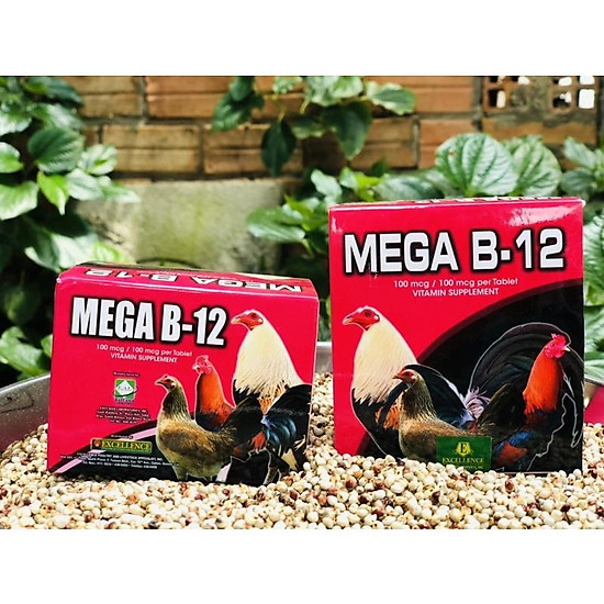 Mega b12 thuốc nuôi cho gà đá, thuốc tăng thể lực cho gà 1 hộp 10 vỉ 100 - ảnh sản phẩm 2