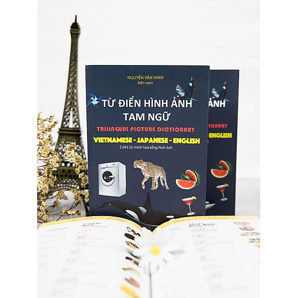 Từ điển hình ảnh tam ngữ Việt- Nhật- Anh