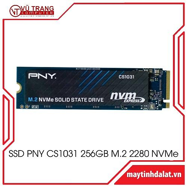 Ổ cứng SSD PNY CS1031 256GB M.2 2280 NVMe – hàng chính hãng