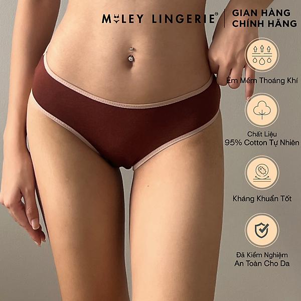 Quần Lót Nữ Cotton Co Dãn 4 Chiều Flexi Miley Lingerie New - BCS40
