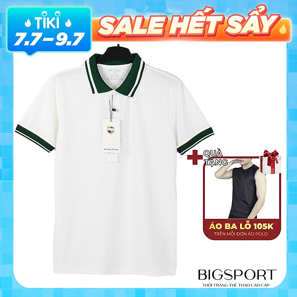 Áo Thun Nam Trơn Basic Polo Ngắn Tay Có Cổ Phối Sọc 100% Vải Cotton Thoáng Mát, Trẻ Trung Cao Cấp Big Sport
