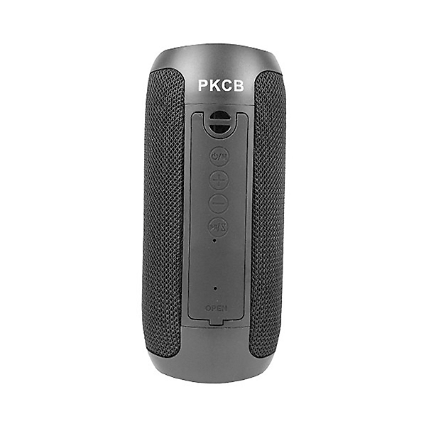 Loa Bluetooth speaker không dây PKCB250 - Hàng Chính Hãng