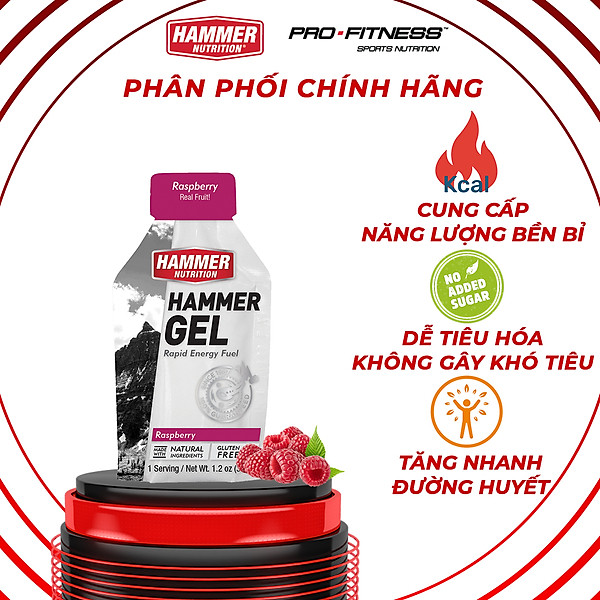 Gel uống bổ sung năng lượng - Hammer Nutrition Hammer Gel vị dâu rừng HM601