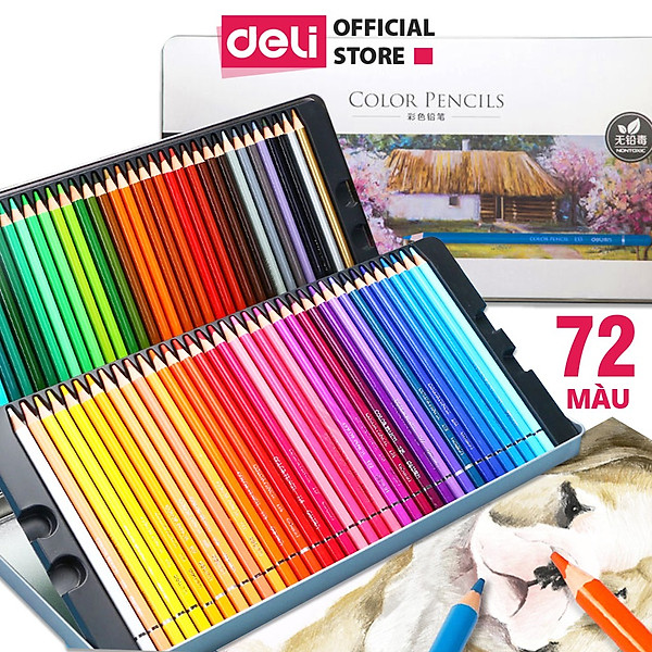 Bút chì màu gốc dầu cao cấp Deli - 6565 / 6566 / 6567