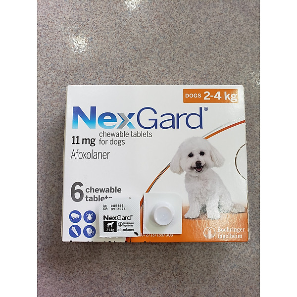 Viên nhai Nexgard trị ve rận, bọ chét cho chó (1 viên) - 2-4kg