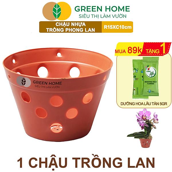 Chậu Trồng Lan Greenhome, R15xC10cm, Nhựa Màu Gốm, Bền, Đẹp, Chống Rơi Vỡ, Thoáng Rễ, Giá Thành Tốt