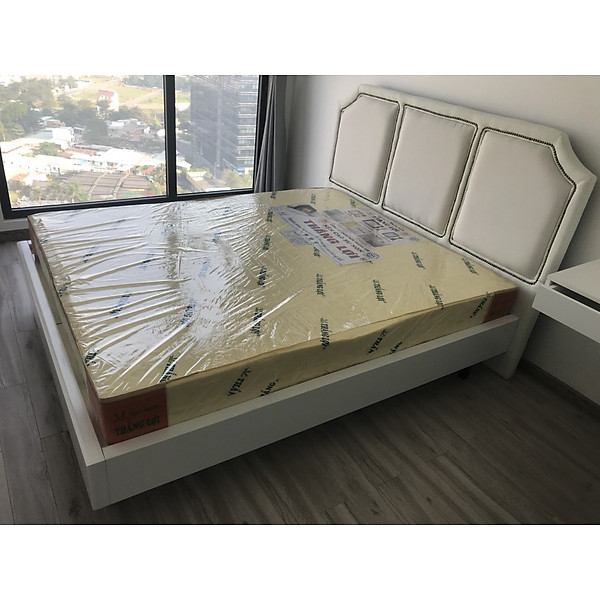NỆM CAO SU NON MASSAGE THẮNG LỢI HÀNG CHÍNH HÃNG BẢO HÀNH 15 NĂM VỀ SỤT LÚN