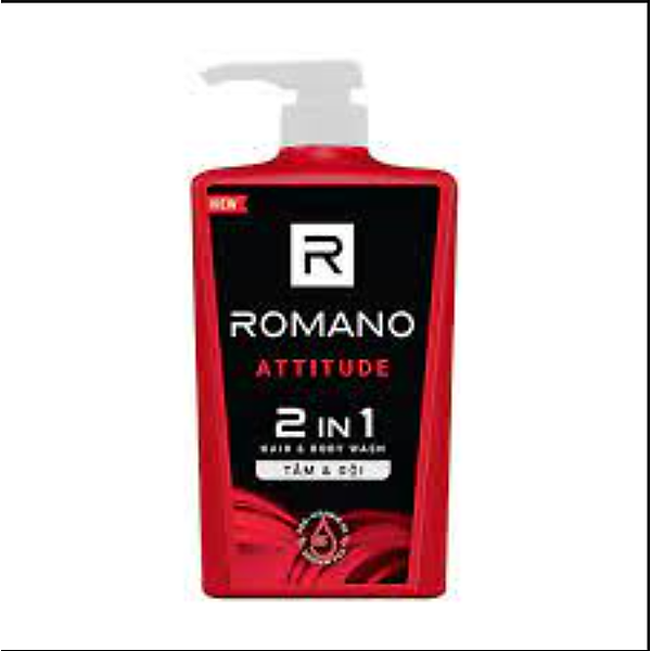 Dầu Tắm gội 2 trong 1 Romano Attitude - 650g