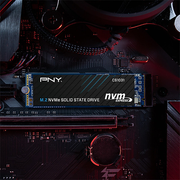 Ổ cứng SSD PNY 256GB CS1031 M.2 2280 NVMe Gen3x4 hàng chính hãng / hàng nhập khẩu
