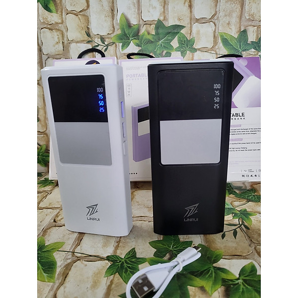 Pin Sạc Dự Phòng LINRUI LR004 10000mAh 2 Cổng USB Sạc 2 Thiết BỊ Cùng Lúc Tiện Lợi - Hàng Chính Hãng - Màu Ngẫu Nhiên