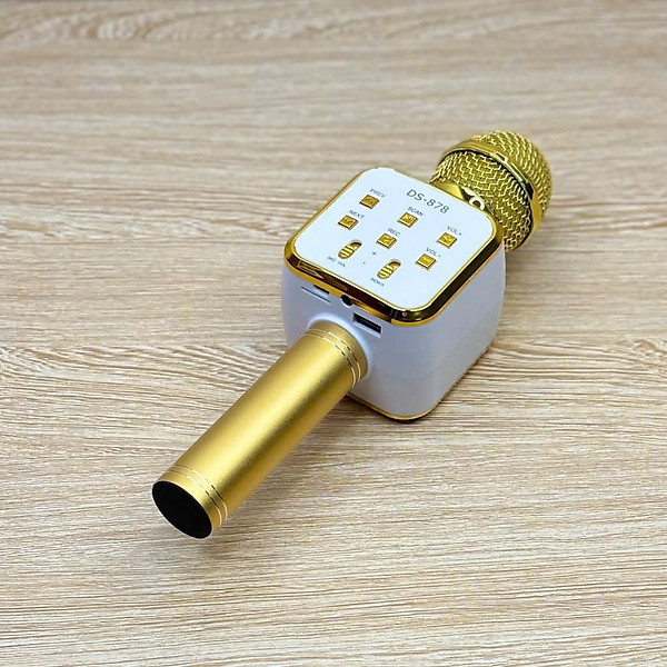 Micro Karaoke Bluetooth kèm loa kết nối điện thoại, máy tính bảng Hát Không Dây, Nghe Nhạc, Hỗ Trợ Kết Nối Thẻ Nhớ, USB Pin sạc - Hàng Chính Hãng