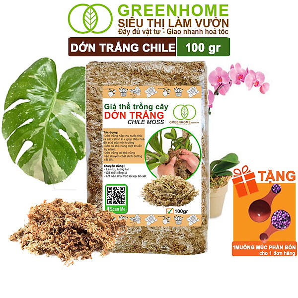 Dớn Trắng Chile Greenhome, Newzita, Gói 100gr, Đã Qua Xử Lý, Giá Thể, Giữ Ẩm Tốt, Kháng Khuẩn Tự Nhiên, Trồng Lan, Kiểng