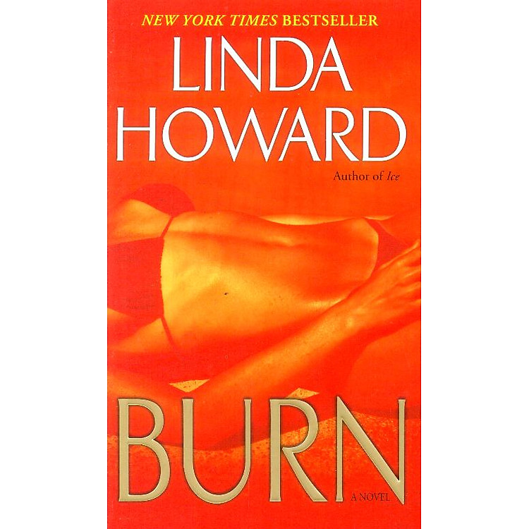 Sách Burn: A Novel
