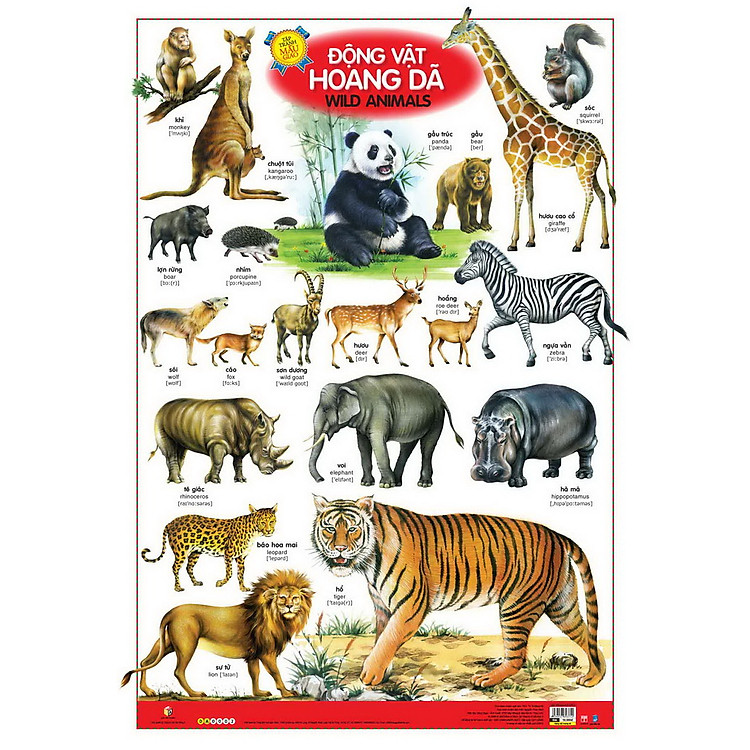 Sách Tranh Mẫu Giáo Song Ngữ - Động Vật Hoang Dã