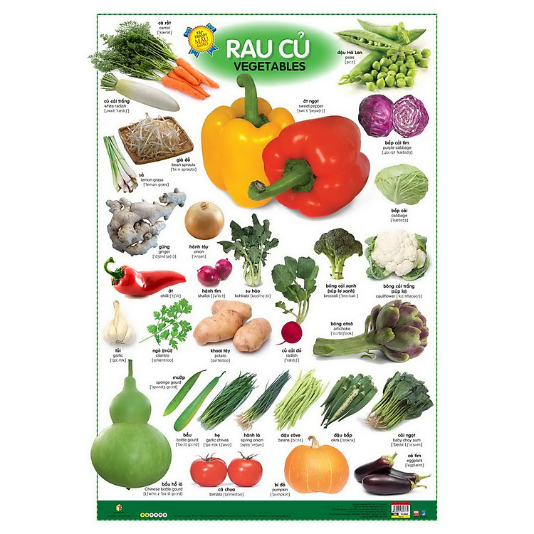 Sách Tranh Mẫu Giáo Song Ngữ - Rau Củ