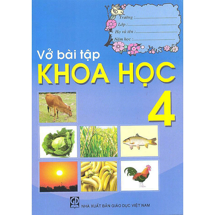 Bộ Sách Bài Tập Lớp 4