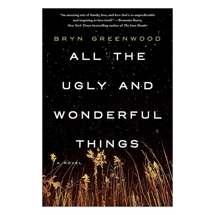 Sách All The Ugly And Wonderful Things: A Novel