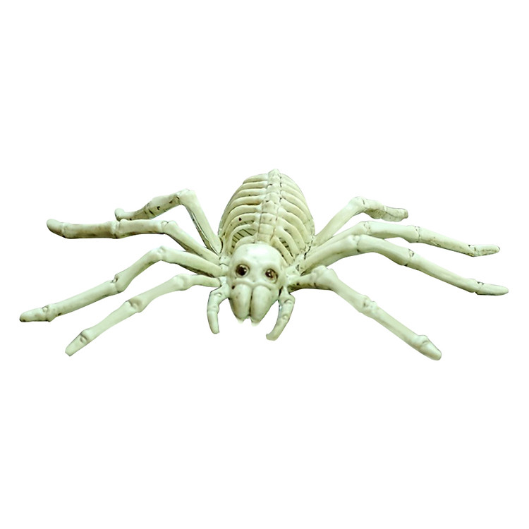 Mô Hình Nhện Xương 5001