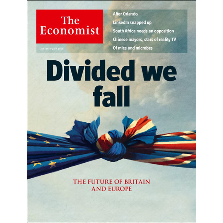 Sách The Economist: Divided We Fall - 25