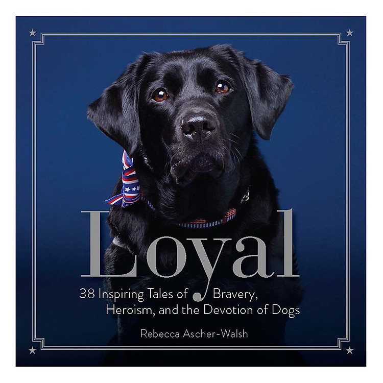 Sách Loyal: 38 Inspiring Tales Of Bravery, Heroism, And The Devotion Of Dogs