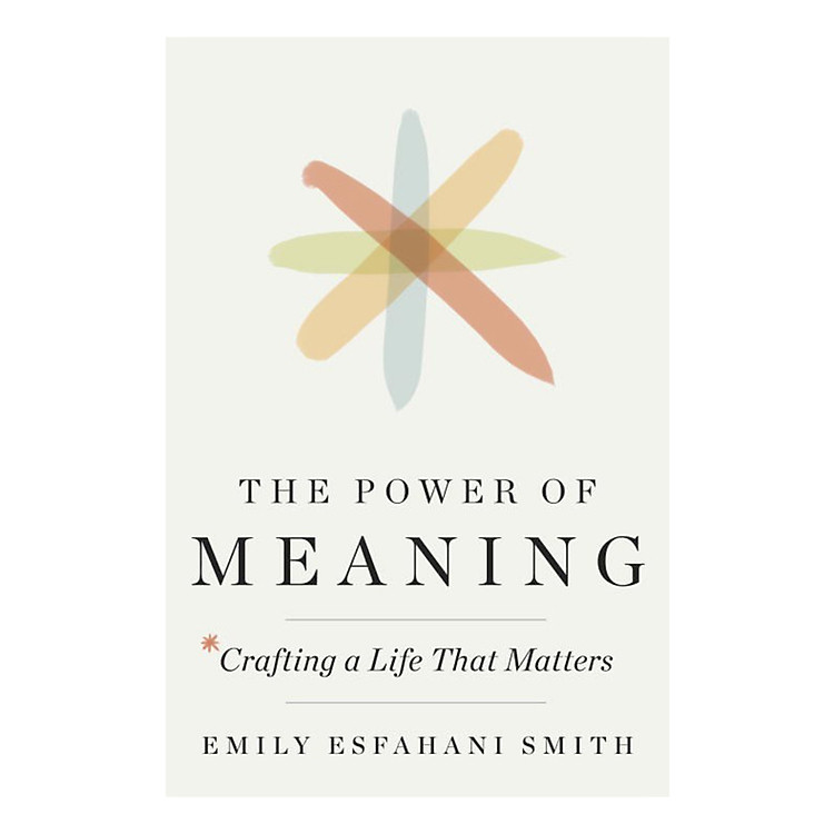 Sách The Power Of Meaning: Crafting A Life That Matters