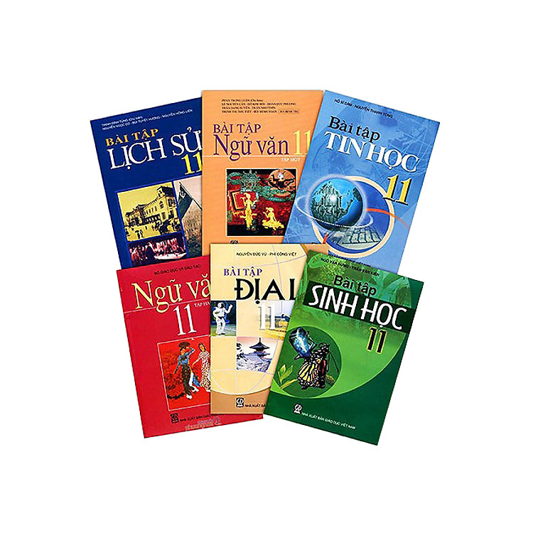 Bộ Sách Bài Tập Lớp 11