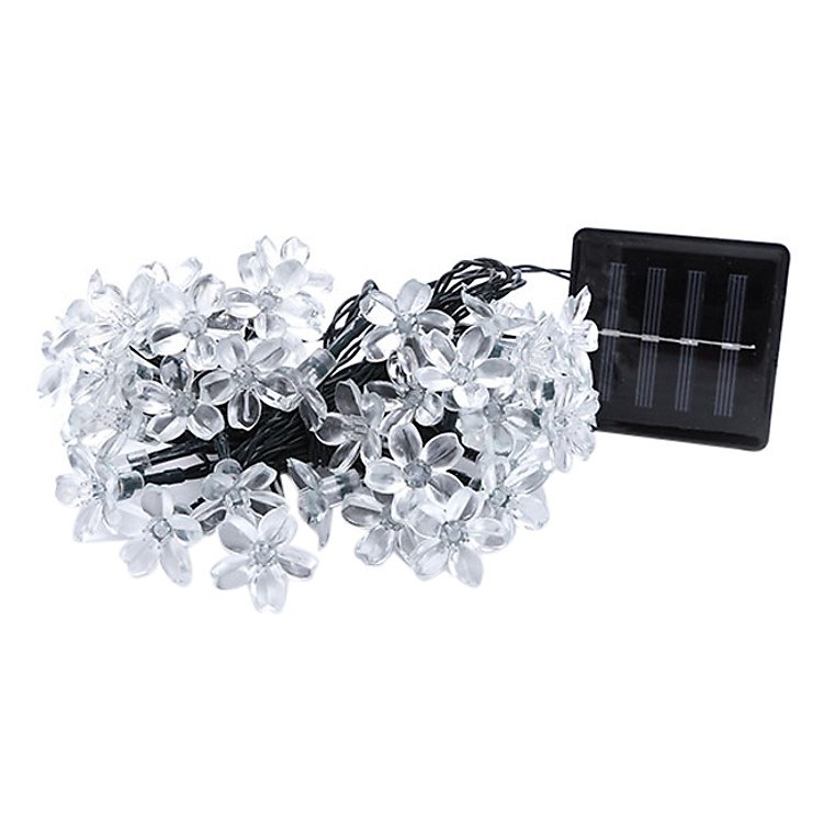 Đèn Dây Trang Trí Hoa Mai Năng Lượng Mặt Trời Omiz (50 Dây)