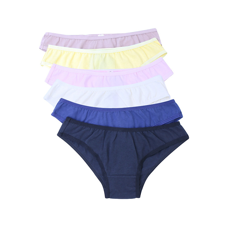 Combo 6 Quần Lót Bikini Cotton iBasic V018