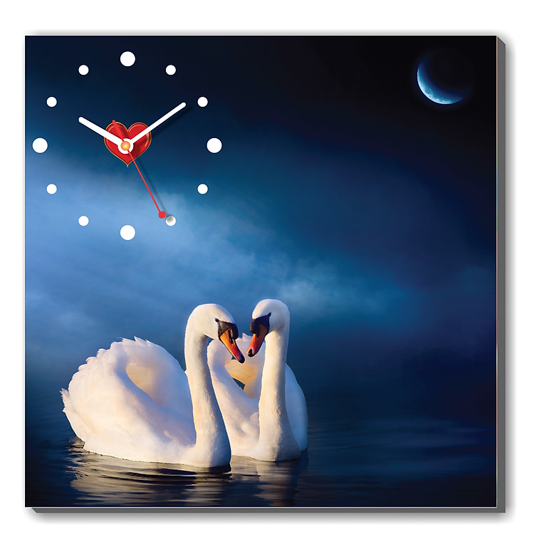 Tranh Đồng Hồ Dyvina 1T4040-16 - Cặp Thiên Nga