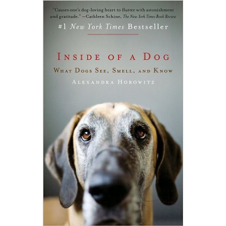 Sách Inside Of A Dog