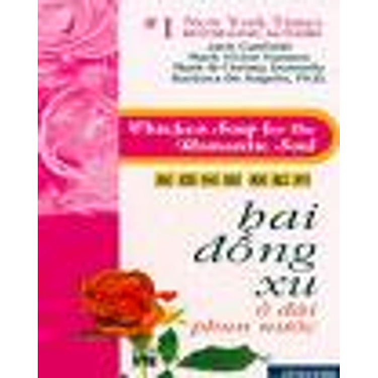 Sách Chicken Soup for the Teenage Soul IV - Sống đẹp - Hai Đồng Xu Ở Đài Phun Nước