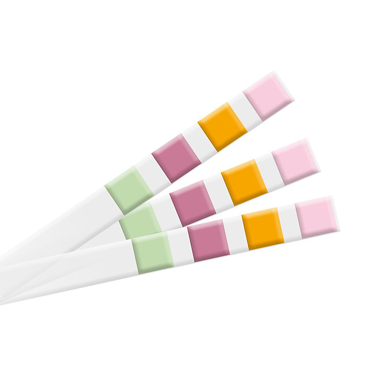 Que Thử Nước Tiểu 4 Thông Số Geratherm