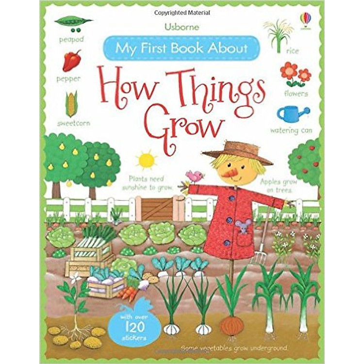 Sách Usborne My First Book About How Things Grow