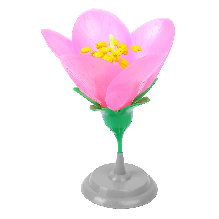 Mô Hình Cấu Tạo Hoa Đào - SA3M32HA