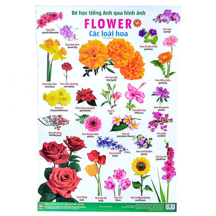 Sách Bé Học Tiếng Anh Qua Hình Ảnh - Các Loài Hoa