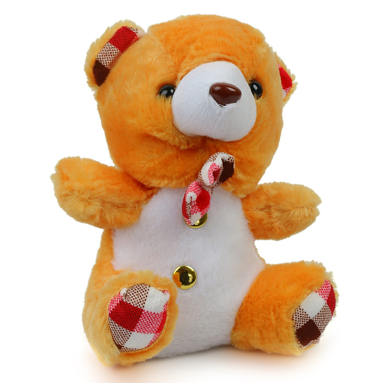 Gấu Lông Xù Hai Nút 031 TTDB (10-25cm)