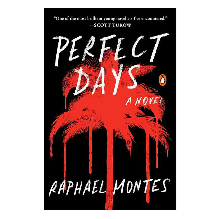 Sách Perfect Days (A Novel)