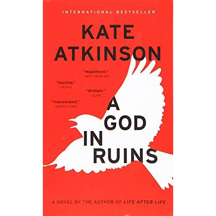 Sách A Good In Ruin