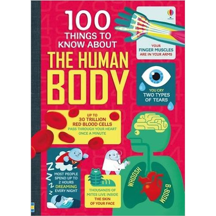 Sách Usborne 100 Things to know about the Body