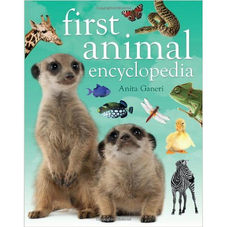 Sách First Animal Encyclopedia